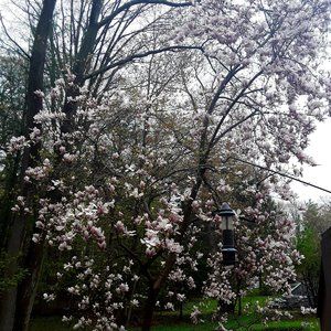 Meet your Posher, Jeffrey